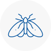 Moth Control Specialists In Hindsford